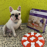 Puzzle chien jouet interactif pop maroc casablanca rabat marrakech feschat dog puzzle toy