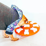 Puzzle chien jouet interactif pop maroc casablanca rabat marrakech feschat dog puzzle toy