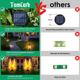 Torche solaire de jardin