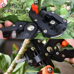 Ciseaux de Greffage Professionnel