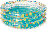 PISCINE TRANSPARENTE «VIE SOUMARINE»